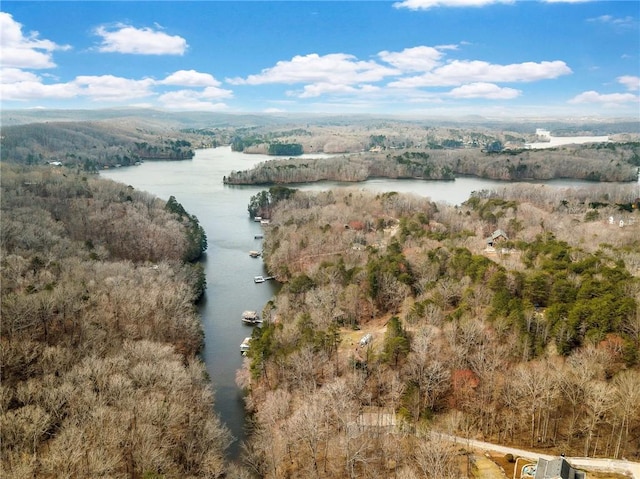 7070 Hammock Trl, Gainesville, GA 30506