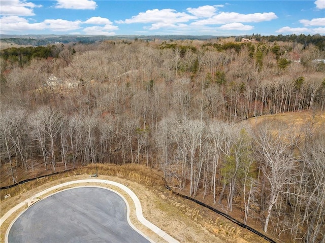7070 Hammock Trl, Gainesville, GA 30506