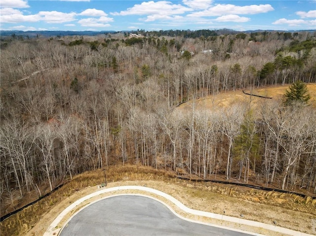 7070 Hammock Trl, Gainesville, GA 30506