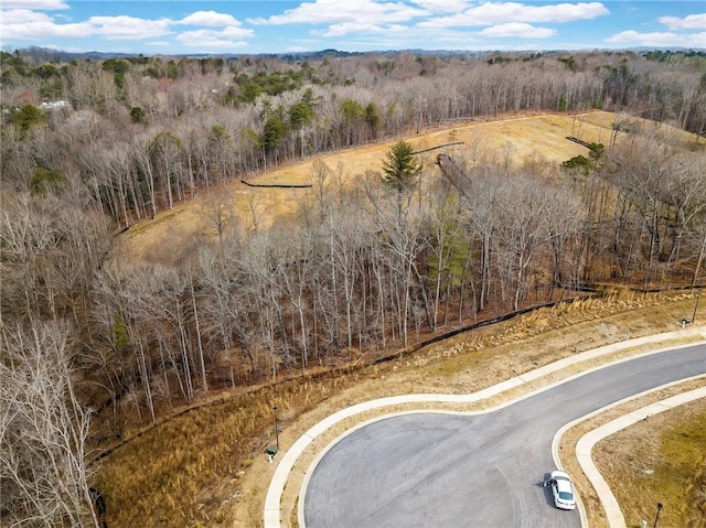 7070 Hammock Trl, Gainesville, GA 30506