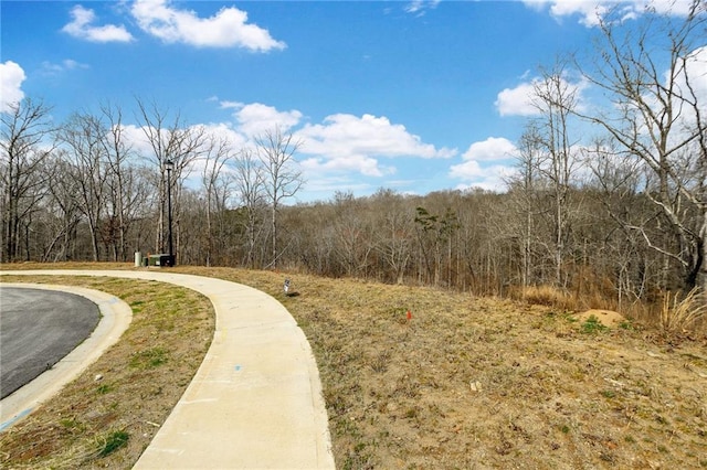 7070 Hammock Trl, Gainesville, GA 30506