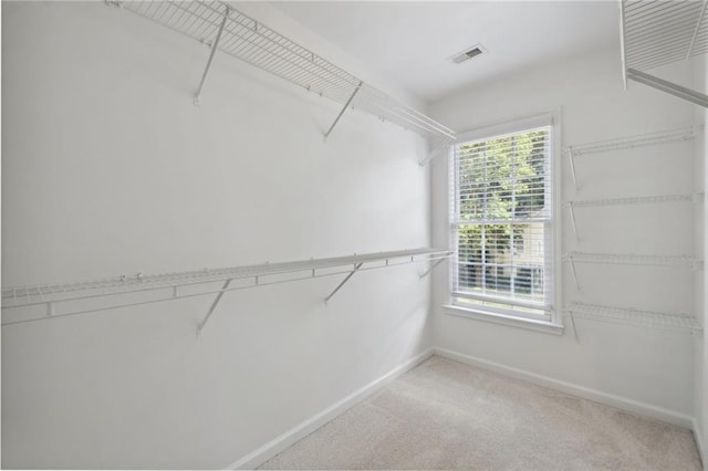 2350 Twelvestones Dr, Roswell, GA 30076 - spacious closet featuring light carpet