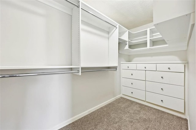 spacious closet with carpet flooring