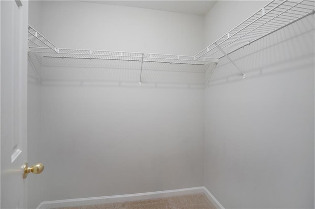 655 Golden Meadows Ln, Suwanee, GA 30024 - spacious closet with light colored carpet