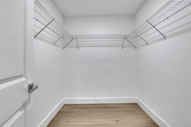 walk in closet with hardwood / wood-style flooring