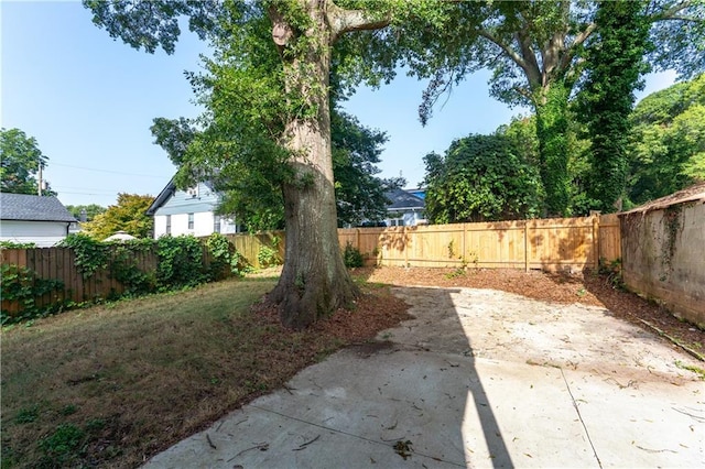 view of yard featuring a patio