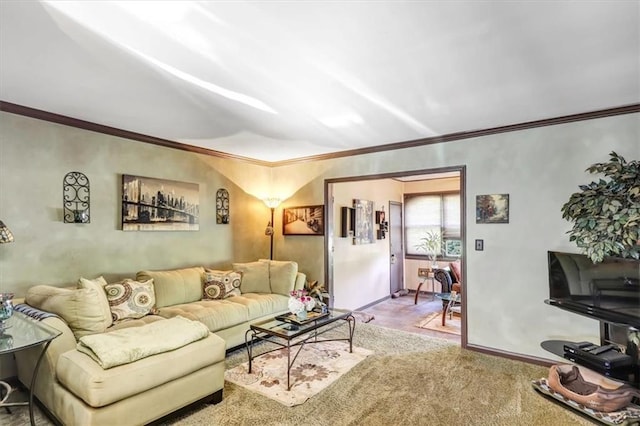 living room with carpet flooring and crown molding