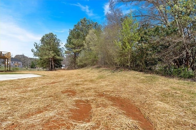 81 Bridgemill Dr, Douglasville, GA 30134 - view of yard