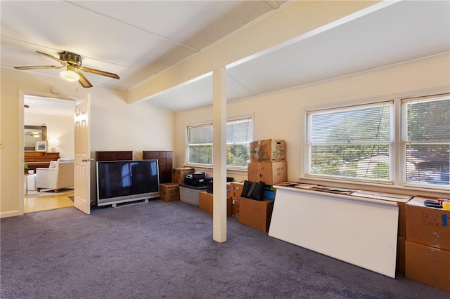 living room with beamed ceiling, ornamental molding, dark colored carpet, and ceiling fan