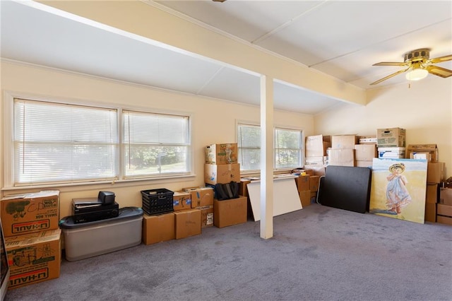 interior space with ceiling fan, crown molding, and carpet floors