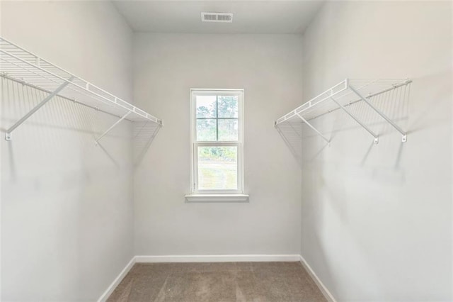 spacious closet with carpet floors and visible vents