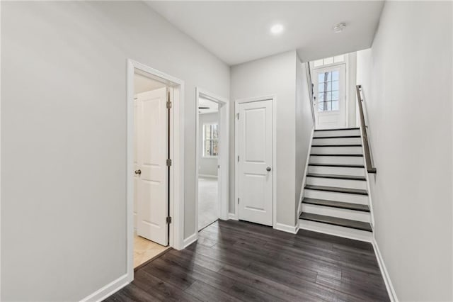 stairs with wood-type flooring and a wealth of natural light