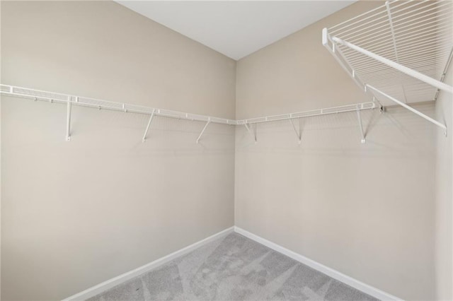 spacious closet with carpet