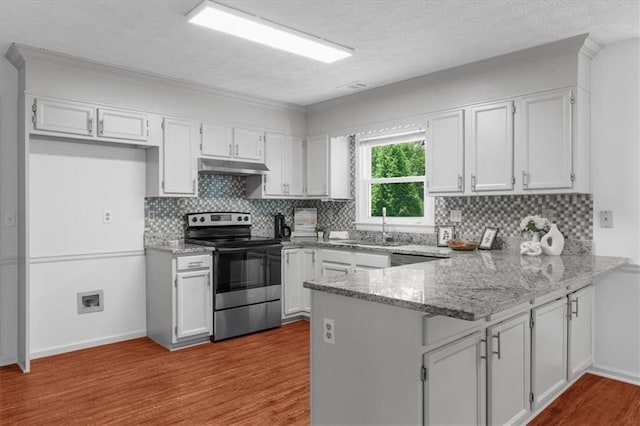 1410 Kingfield Dr, Johns Creek, GA 30005 - kitchen with stainless steel electric stove, a peninsula, under cabinet range hood, light stone counters, and wood finished floors