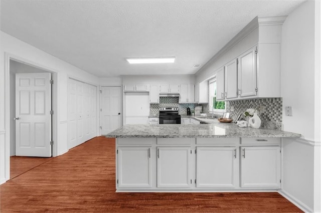 1410 Kingfield Dr, Johns Creek, GA 30005 - kitchen with range with electric stovetop, a peninsula, dark wood-style floors, decorative backsplash, and light stone counters