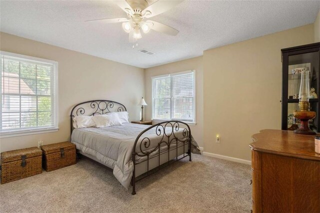 basement featuring gas water heater