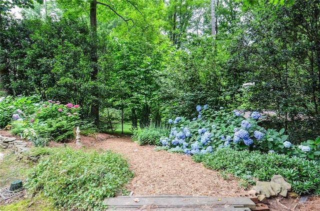 4366 Cedar Wood Dr SW, Lilburn, GA 30047 - view of yard