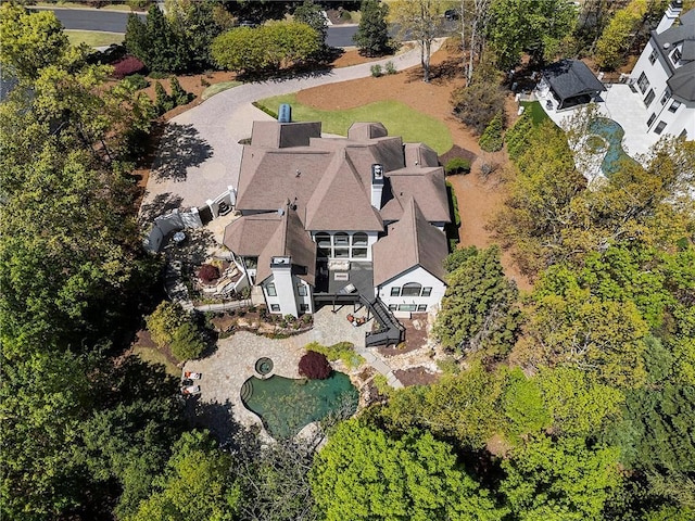 bird's eye view