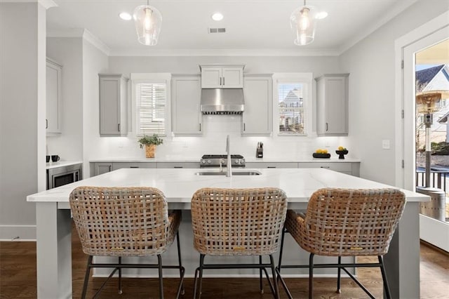2005 Haley Walk, Woodstock, GA 30188 - kitchen with under cabinet range hood, healthy amount of natural light, a sink, and crown molding