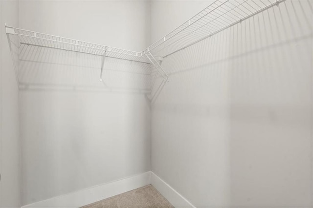 2005 Haley Walk, Woodstock, GA 30188 - walk in closet featuring carpet floors