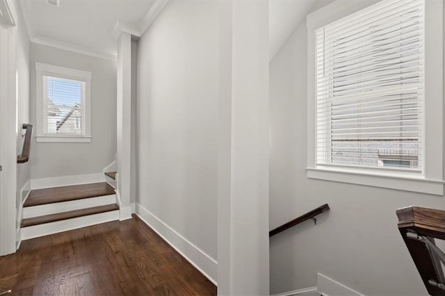 2005 Haley Walk, Woodstock, GA 30188 - stairs with ornamental molding, wood finished floors, and baseboards