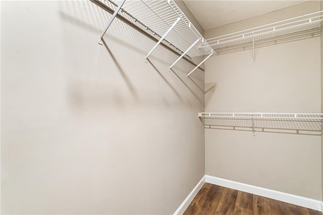 walk in closet with wood finished floors