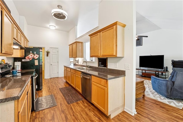 5102 Yellow Stone Dr, Flowery Branch, GA 30542 - kitchen featuring stainless steel appliances, open floor plan, a sink, light wood-type flooring, and lofted ceiling