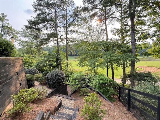 8710 Mount Rushmore Dr, Johns Creek, GA 30022 - view of yard