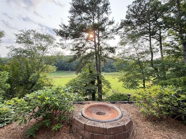 8710 Mount Rushmore Dr, Johns Creek, GA 30022 - view of yard