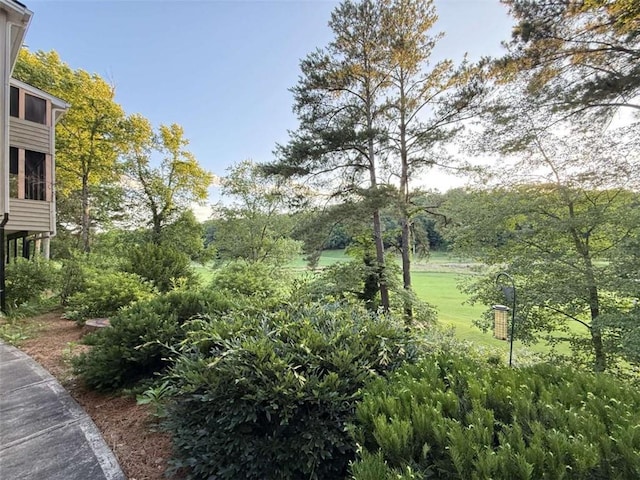 8710 Mount Rushmore Dr, Johns Creek, GA 30022 - view of yard with view of scattered trees