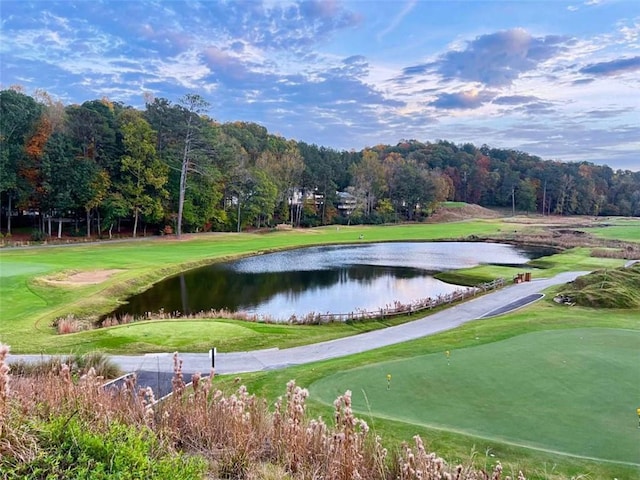 8710 Mount Rushmore Dr, Johns Creek, GA 30022 - surrounding community with a water view, view of golf course, and a yard