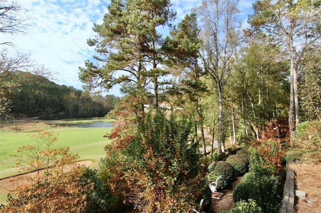 8710 Mount Rushmore Dr, Johns Creek, GA 30022 - surrounding community with view of golf course and a water view
