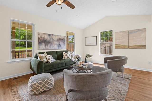 35 Lady Morgan Ln, Dallas, GA 30157 - living room with plenty of natural light, a ceiling fan, wood finished floors, and lofted ceiling