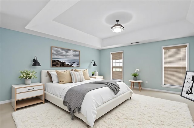 152 Maxton Ave, Dallas, GA 30132 - bedroom with a tray ceiling, baseboards, and carpet floors