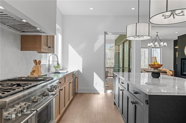 kitchen with appliances with stainless steel finishes, custom exhaust hood, a sink, baseboards, and light wood-style floors