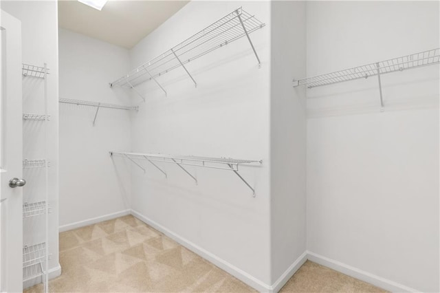 walk in closet featuring carpet