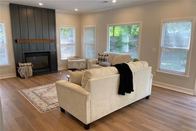 living area with a large fireplace, healthy amount of natural light, wood finished floors, baseboards, and crown molding