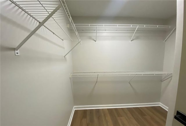 walk in closet with wood finished floors