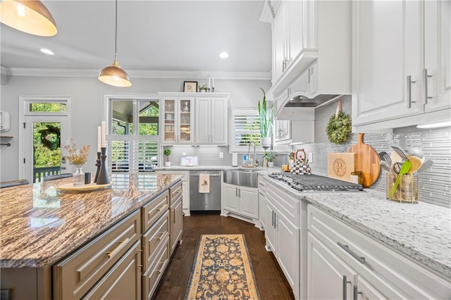 3111 Old Thompson Mill Rd, Buford, GA 30519 - kitchen featuring appliances with stainless steel finishes, a sink, white cabinetry, dark wood finished floors, and light stone counters