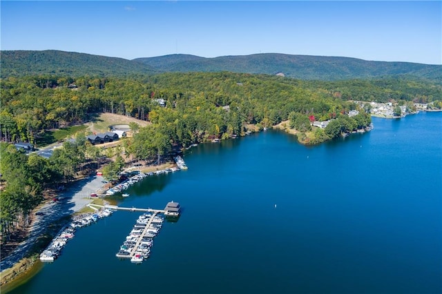 drone / aerial view featuring a water and mountain view