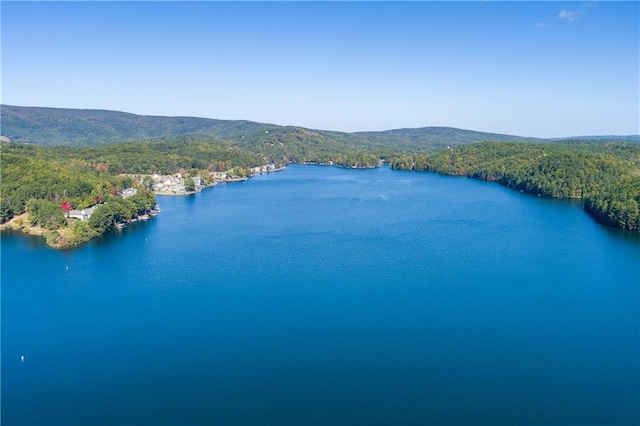 drone / aerial view with a water and mountain view