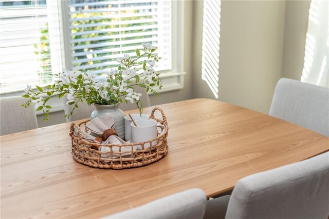 dining area featuring a healthy amount of sunlight