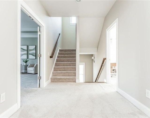 stairs featuring carpet