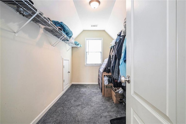 3641 Mountain Cove Rd, Snellville, GA 30039 - spacious closet featuring carpet flooring and vaulted ceiling