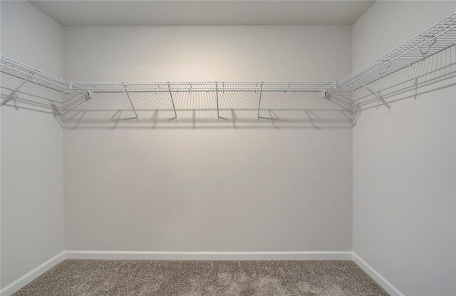 walk in closet with carpet