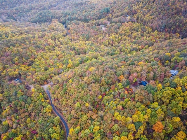 view of bird's eye view