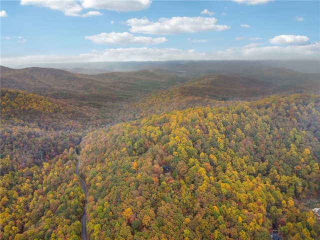 view of mountain view