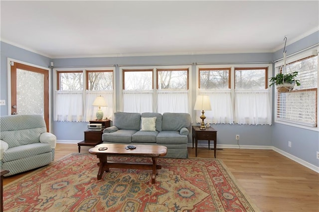 living room with crown molding and light wood-type flooring