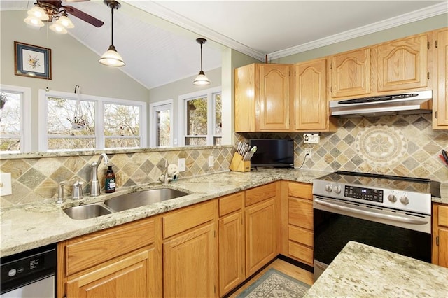 kitchen featuring vaulted ceiling, dishwasher, sink, backsplash, and stainless steel electric range