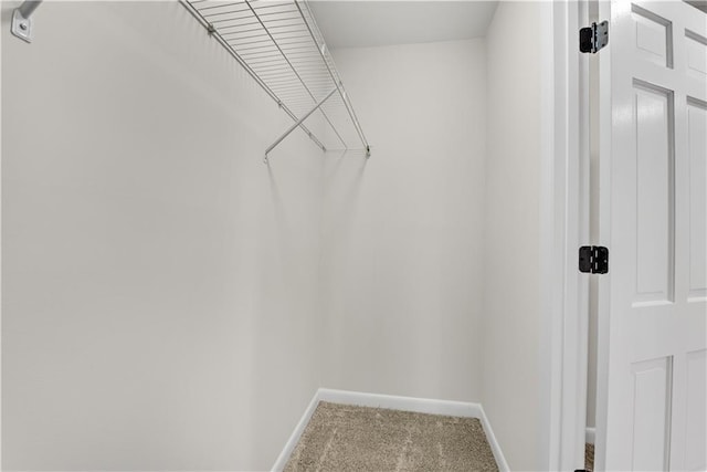 walk in closet with carpet